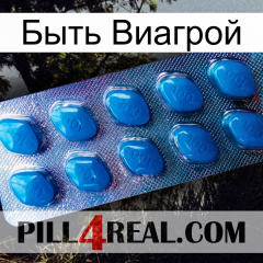 Быть Виагрой viagra1